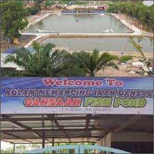 Kolam pancing air masin yang terletak di salak tinggi, sepang, selangor ini memang tidak mengecewakan. Gansaan Fish Pond Saltwater The Milkfish Lady Official Website