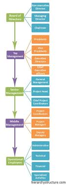 Business Employee Hierarchy General Management Hierarchy Business Management