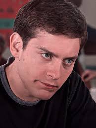 Peter Parker Lo Pica La Araña