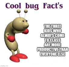 Cool Bug Facts Cool Bugs Facts Cool Stuff