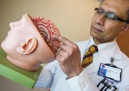 Neurology & Neurosurgery