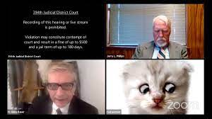 The filter isn't actually a standard zoom. Zoom Cat Lawyer Know Your Meme