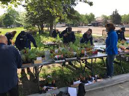 Check spelling or type a new query. Wildflower Sale Topeka Zoo Conservation Center