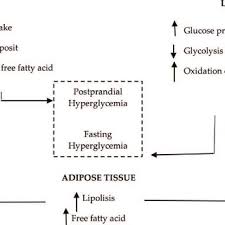 Insulin is the hormone that stimulates cells to uptake glucose from the blood to use for energy. Pdf Pathogenesis Of Type 2 Diabetes Mellitus