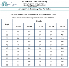 peak flow meter chart printable bedowntowndaytona com