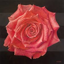 We did not find results for: Jim Wise Pink Rose Floral Painting Rose Still Life Georgia O Keeffe For Sale At 1stdibs