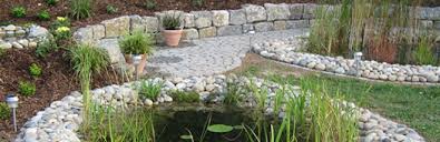 Teichgrosse Wir Zeigen Wie Sie Die Richtige Teichgrosse Bestimmen