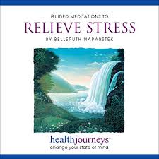 Our mission is to increase coping ability, assist with healing, and reduce symptoms for those dealing with health, mental health & situational challenges; . Health Journeys By Naparstek Belleruth New Majestic Books