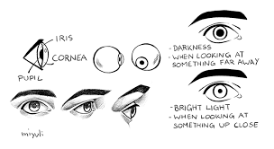 Starbreaker/rainbow eyes tutorial kaknifu 18 0 anime eye tutorial in 10 steps archerkasai 11 0 how to think when you draw glasses and goggles! Easy Tips For Drawing Eyes Art Rocket