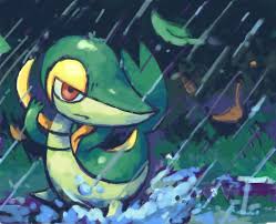 Snivy By Psidra On Deviantart Pokemon Painting Pokemon Fan Art Pokemon Art Its underside leading to its tail is yellow, and it has a yellow rattle at the tip of its tail. pinterest