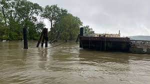 The search for a missing student has been narrowed down to one stretch of the mississippi river after search dogs alerted handlers to the same area twice in one day. Pczfuutnmlmgwm