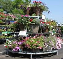 Display Greenhouse Benches and Plant Nursery Tables ...