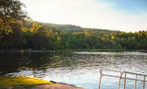 Heading towards colorado,then down to cottonwood/sedona. 5 Boondocking Locations And Free Campsites In Michigan Cruise America