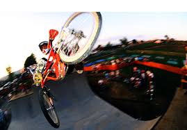 Image result for Vert 1989 ARO