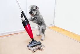 We did not find results for: How To Clean Vinyl Floors The Ultimate Guide