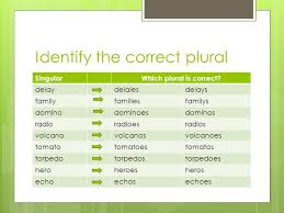 Noun Plurals Plurals You Can Make Most But Not All Nouns Plural By Simply Adding S Or Es To The End Of The Word Like Printer Printers Lunch Lunches Ppt Download