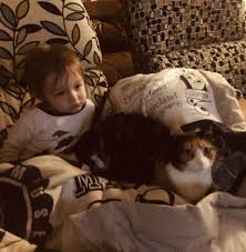 Even with the best treatments available, 1 in 5 children with cancer. Should You Let Your Kids Be There When You Put Down A Pet Popsugar Family