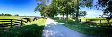 Oklahoma is the horse show capital of the world and here's why. Horse Farms Just Outside Lexington Ky Known As The Horse Capital Of The World Ontario Federation Of Agriculture