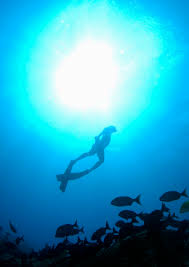 American freediver brandon hendrickson defied the laws of human. How Long Can You Hold Your Breath The Dangers Of Freediving I Spy Physiology Blog