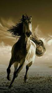 A Horse Filled With Fire Horse Wallpaper Horses Fire Horse
