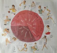 Trainieren sie ihr gehirn und ihre merkfähigkeit mit unseren tipps zur konzentration, abwechslung und positivem denken. Tagesrhytmus Und Innere Organuhr Schlafstorungen Zwischen 3 Und 5 Uhr