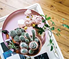 Camellias, heartier english garden roses, coffee beans and. Diy The Grand Budapest Hotel Sistermag