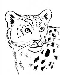 Maybe you would like to learn more about one of these? Snow Leopard Coloring Page Art Starts