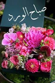 صباح الورد good morning greetings morning pictures morning greeting
