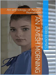 An Amish Connection by Terri Downes (Ebook)