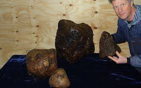 Dari jenis yang menyebar pada seluruh wilayah indonesia sendiri terdapat beberapa jenisnya. Ambergris Muntah Ikan Paus Yang Digunakan Dalam Minyak Wangi Iluminasi