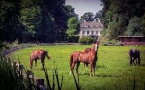 Regarder dream horse gratuitement film complet sur notre site fullstream. Stable Yard Design The Ultimate Guide To Creating A Dream Horse Barn
