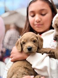 👀 Spotted. You never know what you'll see in #GreenvilleSC. 🦌 From a  whitetail deer poised to cross the Swamp Rabbit Trail, to a heron
