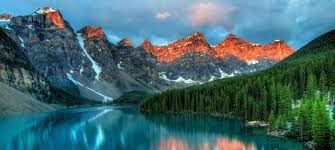 Spring or summer season abstract nature background. World Needs Usd 8 1 Trillion Investment In Nature By 2050 To Tackle Triple Planetary Crisis
