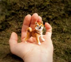 Grandson captures the heartwarming bond between. Miniature Dog Shiba Inu By Eugenya Rogova Bear Pile