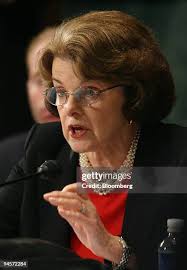 749 Chris Feinstein Photos & High Res Pictures