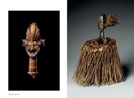 Image result for Kotschya africana