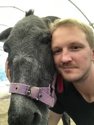 Volunteer at Corfu Donkey Rescue in Greece