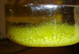 Freezing Olive Oil The Olive Oil Source