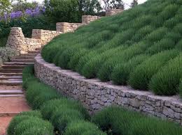 Pin By Charles Waters On Gardens In 2020 Backyard Hill Landscaping Landscape Design Backyard Landscaping