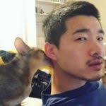 A Guide to Our Kitten Adoption Process