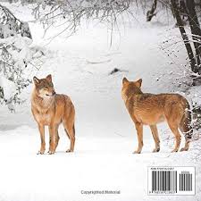 Install the wolf coffee system anywhere (kitchen, study, rec room) without additional plumbing. Wolf Picture Book 100 Beuatiful Images Of Wolves In The Wild Perfect Gift Or Coffee Table Decor Kampelstone 9798556210837 Amazon Com Books