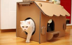 kedi evi yapimi kedi evi yapma miyhav com