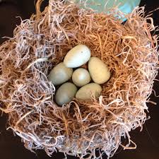 Bird Eggs With Brown Spots On Shell Why Buy A Fake Bird S Nest When You Can Google It And Make One Yourself Foil Twine Moss Hot Glue And Wooden Eggs Fake Birds Wooden Eggs Bird Nest