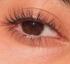 Brown Eyes Brown Eyes Aesthetic Aesthetic Eyes Pretty Brown Eyes