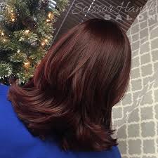 Dimensional color transitions from dark brown red to medium cool red. Pin By Scissor Hands Salon On Brown Hair Hair Color Chocolate Cherry Hair Cherry Hair Color