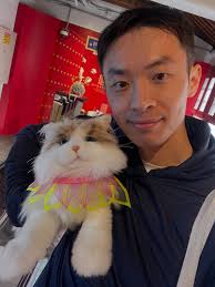 Discover the Secret to Your Kitty's Best Sleep Routine