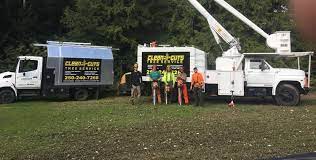 We did not find results for: Tree Service In Bowser Bc Tree Service Qualicum Beach Parksville Errington Bowser