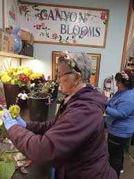 Let's work together. Interested in working together with other Petals for  Patients volunteers? — Canyon Blooms Petals for Patients