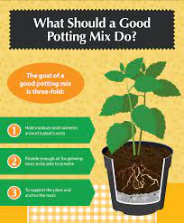 Diy Potting Mixes A Recipe For The Perfect Garden Potting Mix Plant Nutrients Pepper Plants