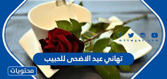 Check spelling or type a new query. ØªÙ‡Ø§Ù†ÙŠ Ø¹ÙŠØ¯ Ø§Ù„Ø§Ø¶Ø­Ù‰ Ù„Ù„Ø­Ø¨ÙŠØ¨ ÙˆØ±Ø³Ø§Ø¦Ù„Ø© ØªÙ‡Ù†Ø¦Ø© Ø¨Ø§Ù„Ø¹ÙŠØ¯ Ù„Ù„Ø­Ø¨ÙŠØ¨ 2021 Ù…ÙˆÙ‚Ø¹ Ù…Ø­ØªÙˆÙŠØ§Øª